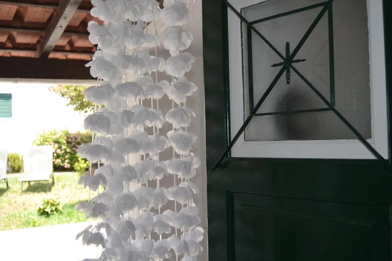 Petunia - Guest House كاسكايس